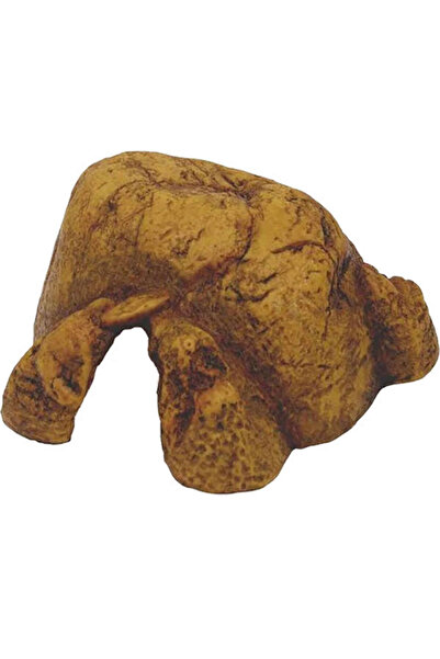 Hagen WIZARD Exo Terra Sürüngen Mağarası (XXL)