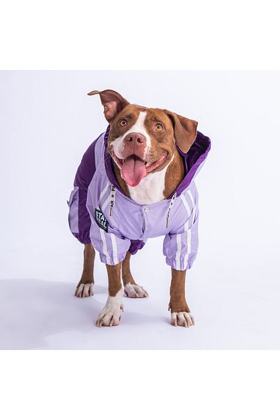 Pawstar Lilac-Purple BiColor Medium and Large Breed Dog Jumpsuit Raincoat Dog Raincoat Dog Outfit