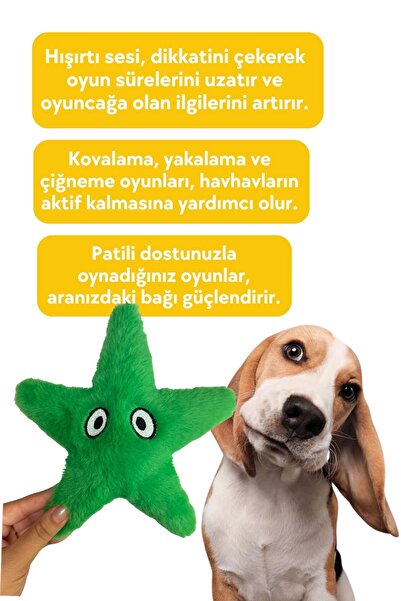Havhav Yeşil Denizyıldızı Peluş Köpek Oyuncağı Hışırtı Sesli Peluş Köpek Oyuncakları