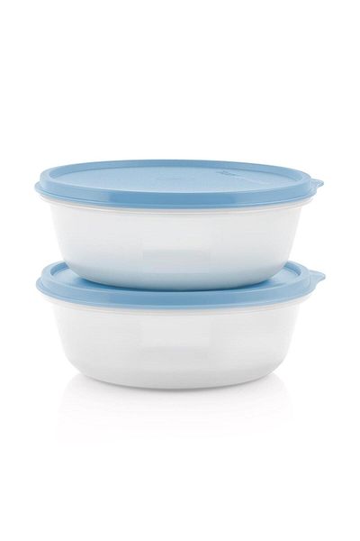 Tupperware 630ml Ice Set of 2 - Storage and Service Container