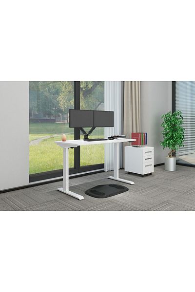 Mahmayi Flexispot Electric Height Adjustable Standing Desk, 48 x 24 Inches Computer Desk - White