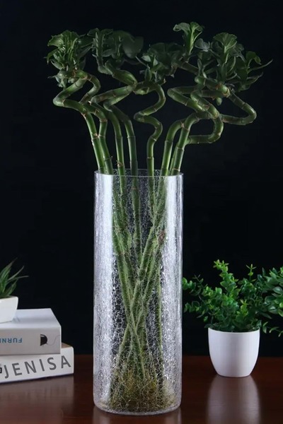 Jenisa Vaza din Sticla Cylindru Crack 30 Cm