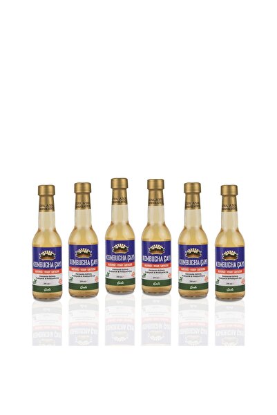 ŞİFA ANA 6 Adet Sade Kombucha (250ml.) Cam Şişede