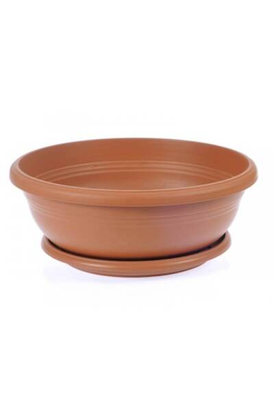 Tunç Botanik BONSAİ SAKSISI 3 ADET (TABAKLI 3.8 LT)
