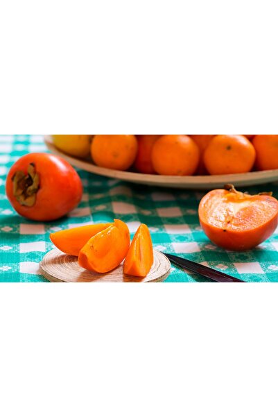 Tunç Botanik Hachiya Trabzon Hurması Fidanı ( Cennet Meyvesi) 3 Yaş Tüplü ve ...