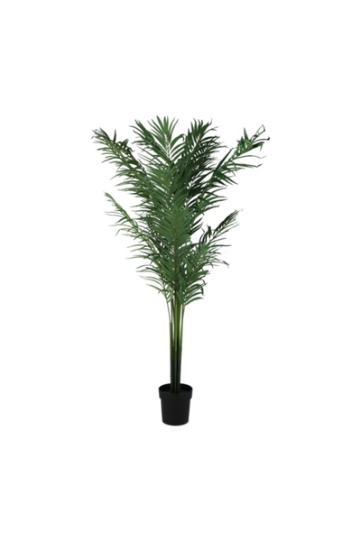 SERENE 591-Leaves Artificial Palm Tree with Sturdy Pot 170cm