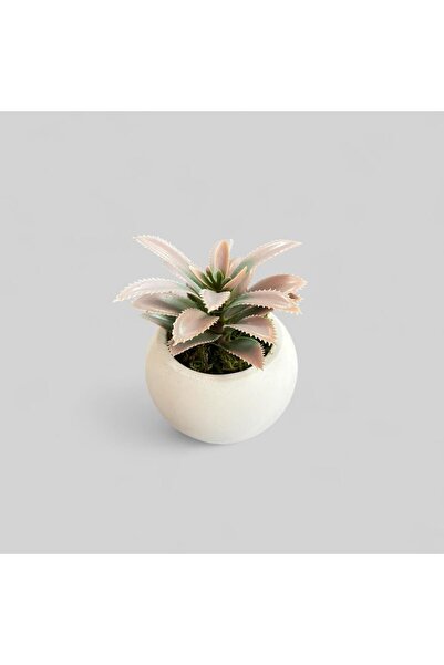 DDTREND El Yapımı Beton Saksıda Yapay Sukulent Aranjman Hediyelik Saksı Yapay...