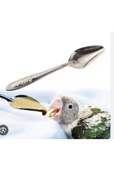 BGA Baby Parrot Feeding Spoon