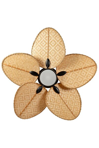 LAST TOUCH INTERIORS Robin Siyah Aydınlatmalı Tavan Vantilatörü