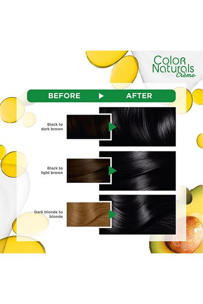 Garnier COLOR NATURALS 1 BLACK (TWIN PACK)