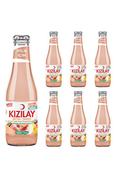 Kızılay KIZILAY MADEN SUYU DOĞAL ŞEFTALİ-MANGO AROMALI 200 ML X 6 ADET