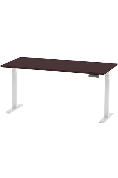 Mahmayi Flexispot Standing Desk Dual Motor 3 Stages Electric Stand Up Desk 160cmx80cm - Apple Cherry