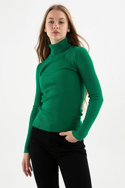 Fashion Friends Slim Fit Turtleneck Ribbed Knitwear Sweater Pullover 24K0288K1