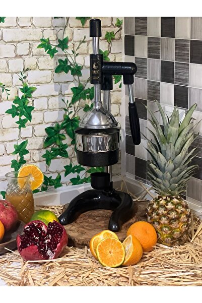 Kale Termos 1802 Professional Industrial Juicer