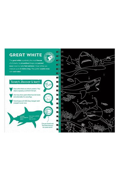 Imagine That Sharks - Scratch Discover and Learn