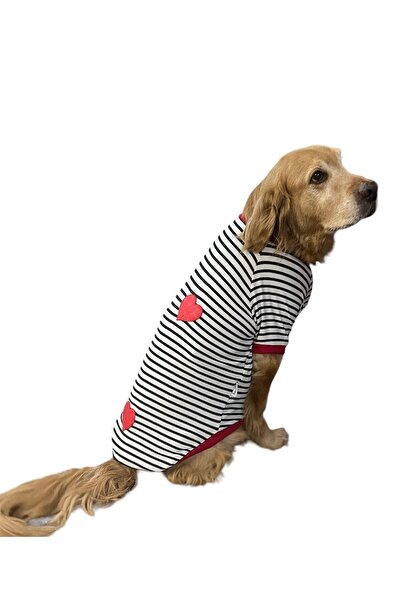 DOGİ&DOG Büyük Irk Heart Yazlık Köpek T-shırt (11 Kg -45 Kg)