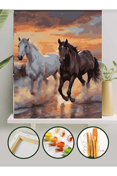 Lamba Cini Sayılarla Boyama Kasnaklı Tablo Seti Fırça Boya Dahil 40x50 ATLAR