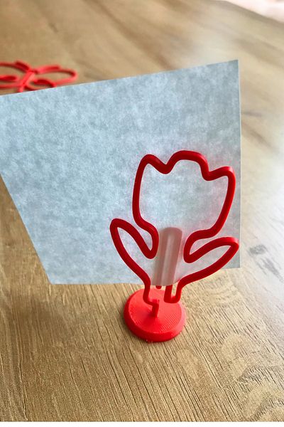 CESTOPİENO Tulip Shaped Spacer Separator