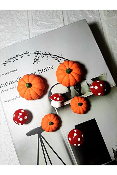 oksukokulutaş 8'li teraryum obje kabak mantar