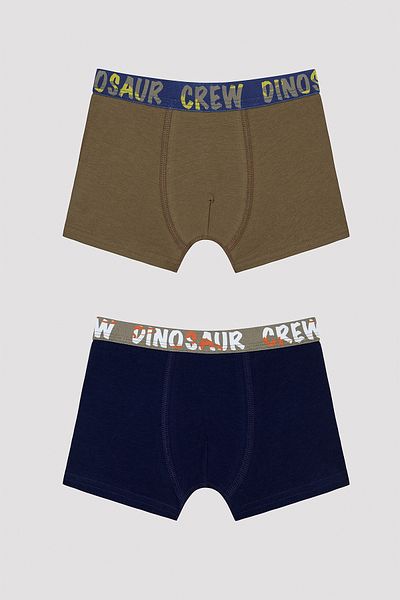 Penti Boy's Dinosur Crew Slogan Printed Boxers