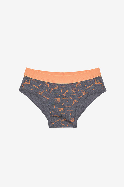 Penti Erkek Çocuk Blue Solid 3lü Çok Renkli Slip Külot
