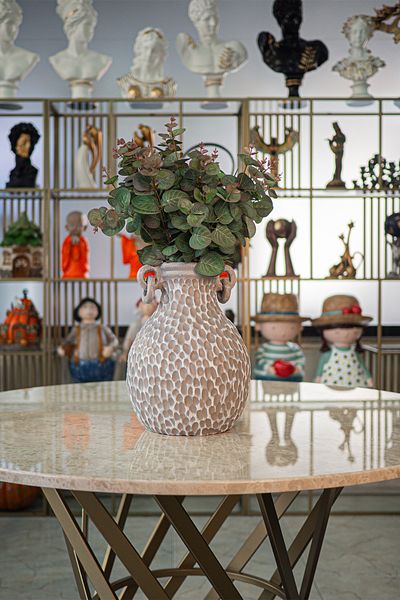 Ella's Design Studio White Handle Vase Stone - Vase Decor, Home Decoration, Test Vase Decor, Decorative New Home Gift