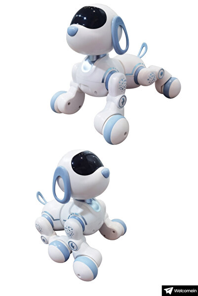 welcomein Oyuncak 30 Fonksiyon Uzaktan Kumandalı Şarjlı Sesli Işıklı Dokunma Algılama Programlama Robot Köpek