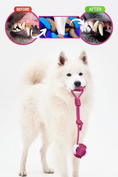 Proud Wave Set of Four Dog Toy with Sound and Traction Plush Rope Toy Dog Play Ball
