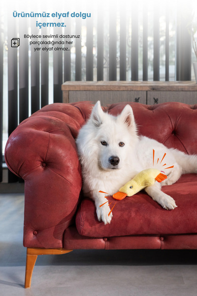 Proud Wave Dörtlü Set Köpek Oyuncağı Sesli Çekiştirmeli Peluş İp Oyuncak Köpek Oyun Topu