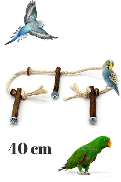 Alyones Parrot Wooden Perch Stand - Hanging Climbing Hammock Swing & Training Toy
