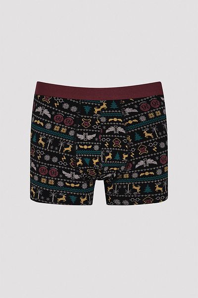 Penti 2-Piece Boxer - Harry Potter Collection