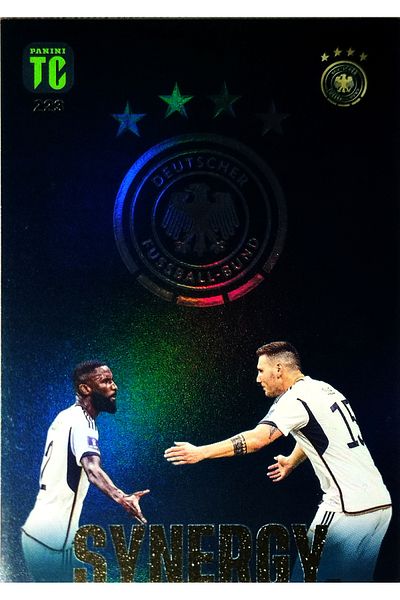 Panini Panini Synergy Card