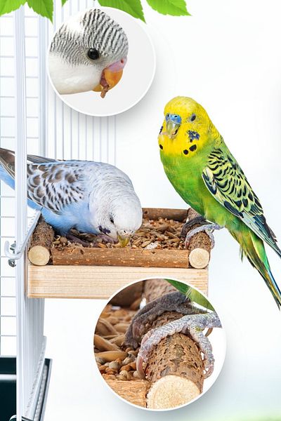 Alyones Wooden "M" Seating Board for Lovebirds - Natural Rest and Playground