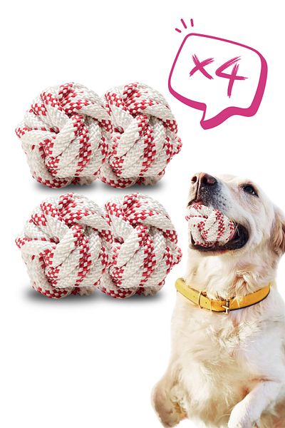 Proud Wave Four Pcs Dog Ball Training Toy - Dog Play Ball