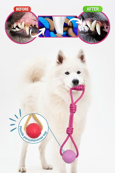 Proud Wave Plastic Dog Toy - Traction Training Ball, String Toy Dog Set