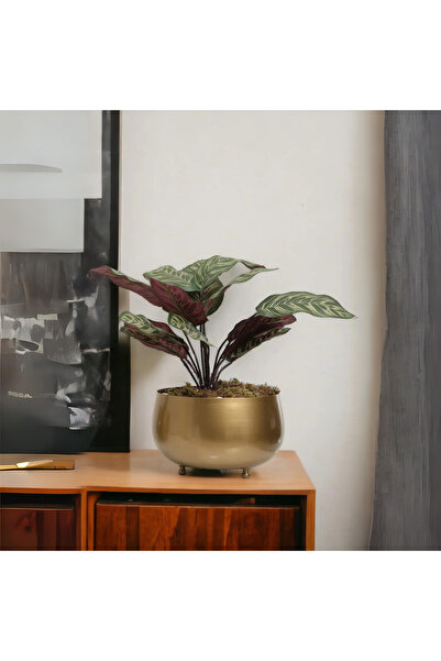 Yaren Style Büyük Eskitme Metal Orkide Saksısı Vazo / Çiçekler Görsel Amaçlı ...