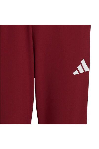 adidas Team Türkiye Erkek Bordo Eşofman Altı (JH0784)