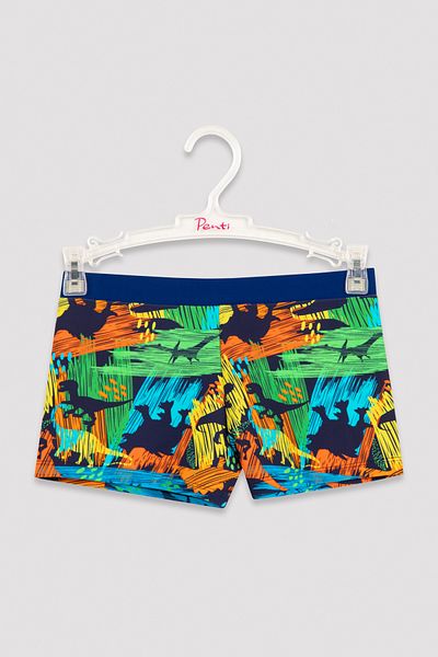 Penti Boy - Colorful Dinosaur Patterned Trunk Swimsuit
