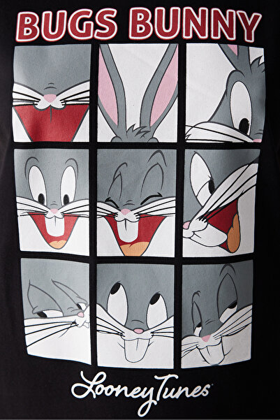 Penti Special Series Bugs Bunny Çok Renkli Pijama Takımı