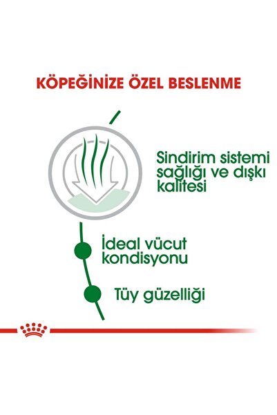 Royal Canin Mini Indoor Adult Yetişkin Köpek Maması 1.5 Kg