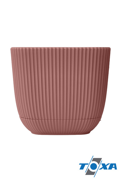 ToXA 3 Adet 1.8 Litre Soft Pembe Mercan Kare Saksı Kaktüs Sukulent Saksısı Tabaklı Plastik Saksı