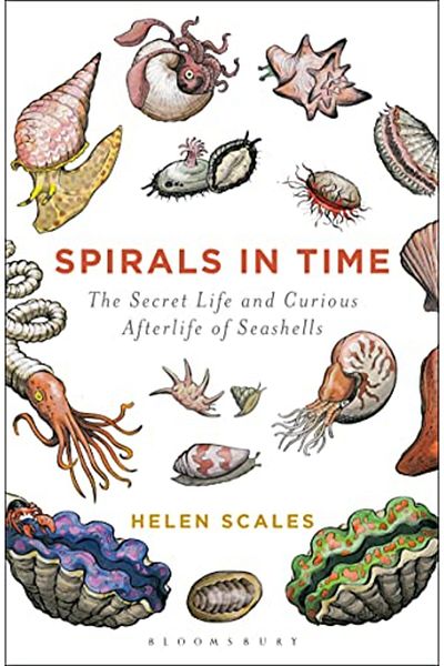 Bloomsbury Spirals in Time: The Secret Life and Curious Afterlife of Seashells