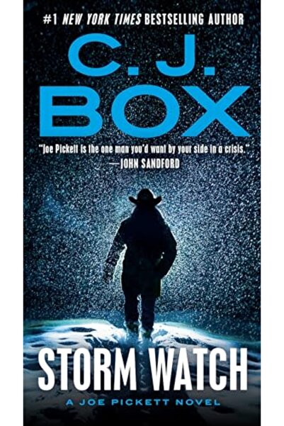 G P PUTNAM'S SONS مراقبة العاصفة