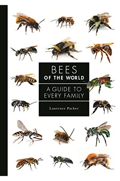 Princeton University Press نحل العالم: دليل لكل عائلة
