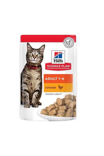 Hill's Adult Chicken Age Food 85 Gr-Pack of 12