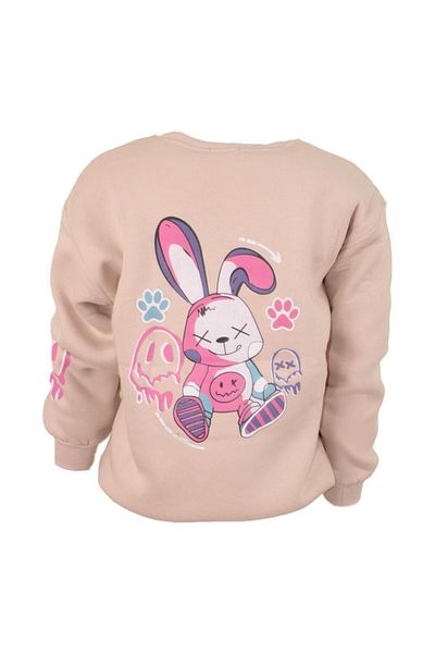 Ceylen Πολύχρωμο φούτερ Unisex Oversize με στάμπα