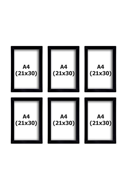ekolphoto 6 bucăți (A4) 21x30 cadru negru - cadru A4 pentru certificat sau fotografie cu PVC