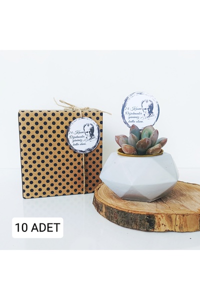 ORGANİZASYON HEDİYEM 10 Adet Öğretmenler Günü Özel Kutusunda Geometrik Taş Saksılı Canlı Sukulent Kurumsal Hediye Seti