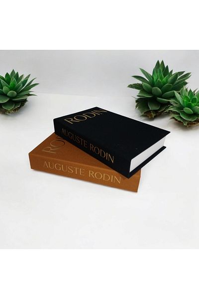 BayCazip Декоративни кутии за книги, покрити с плат, комплект от 2 бр