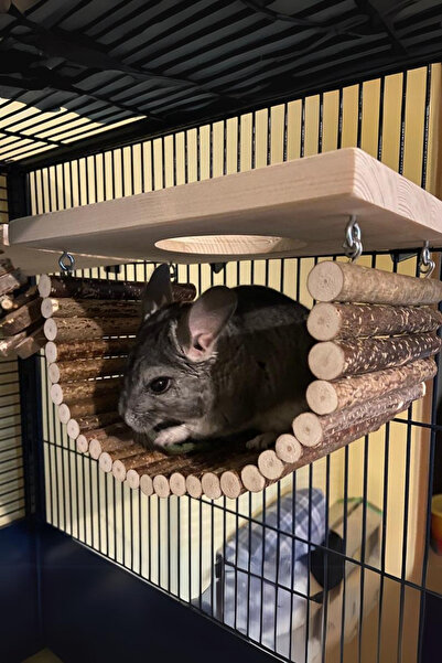 Alyones Çinçilya / Evcil Sıçan Kafesi Aksesuarları - Ahşap Hamak Çıkıntısı